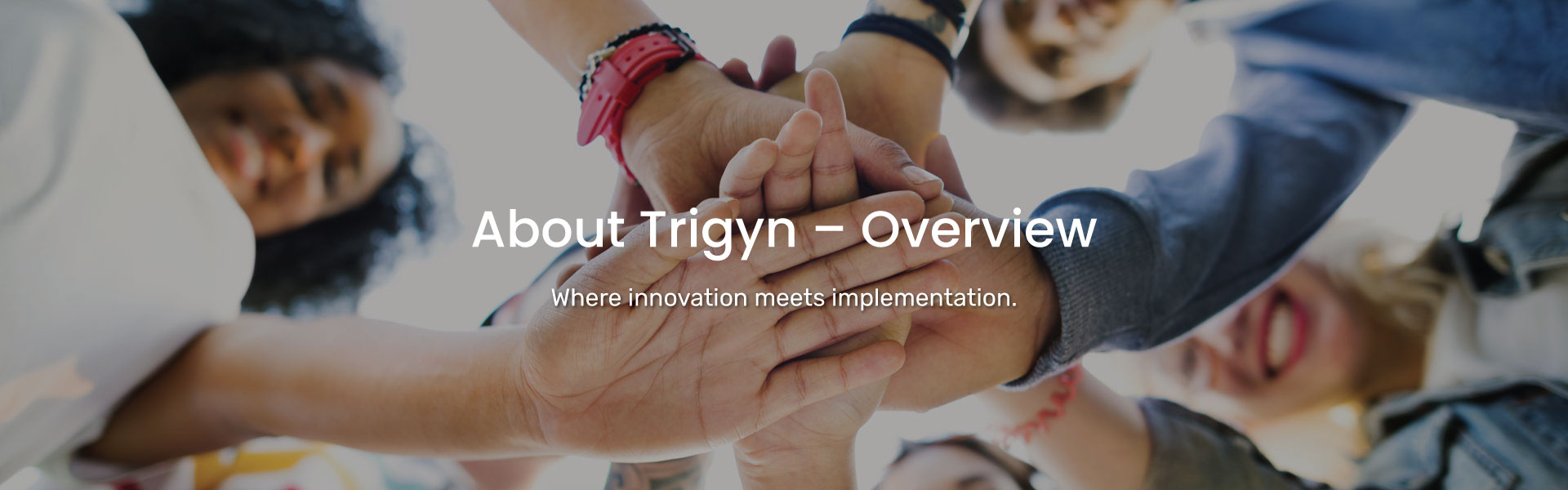 Trigyn Overview