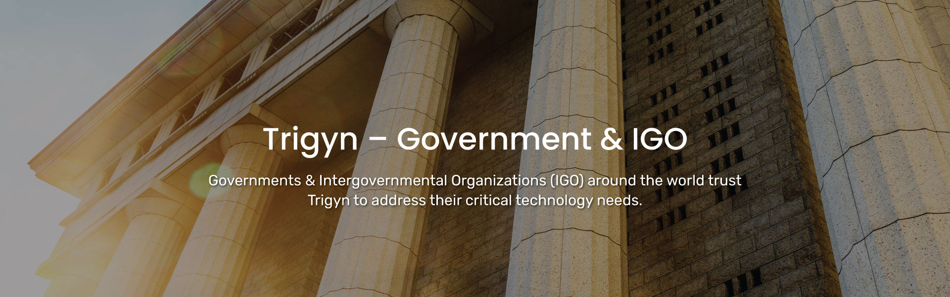 Trigyn’s Government and IGO Capabilities