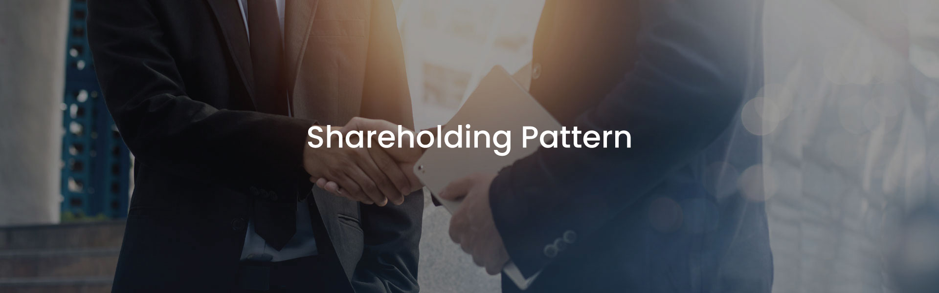 Shareholding Pattern
