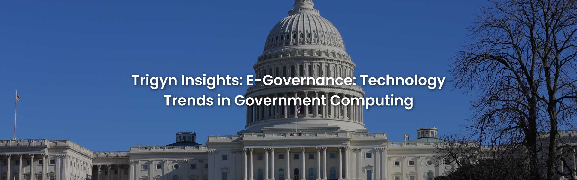 Technology Trends in Government Computing
