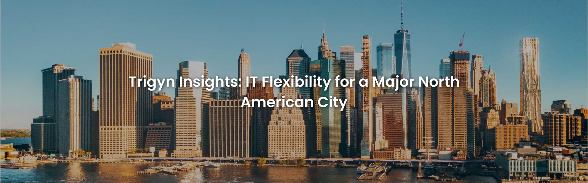 IT Flexibility for a Major North American City