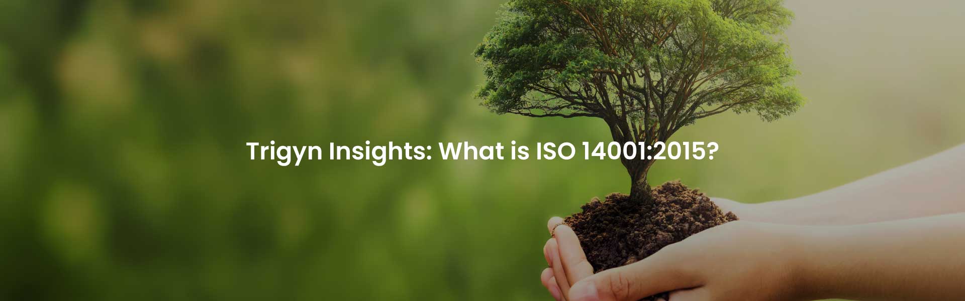 What is ISO 14001:2015