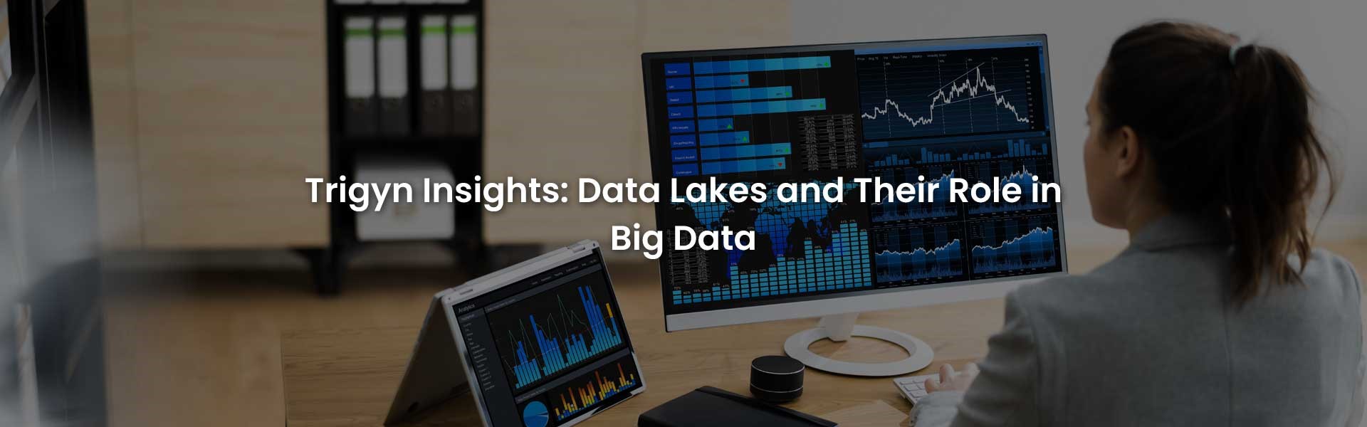 Data Lakes and Their Role in Big Data