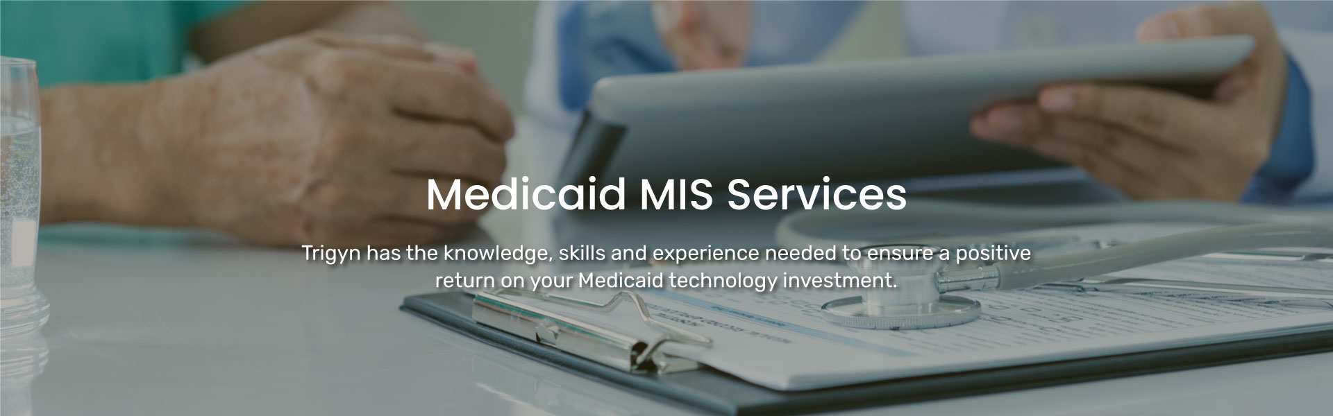 Trigyn's Medicaid MIS Services