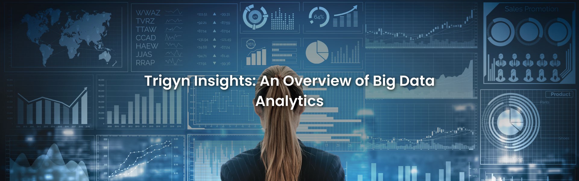 Big Data Analytics Overview