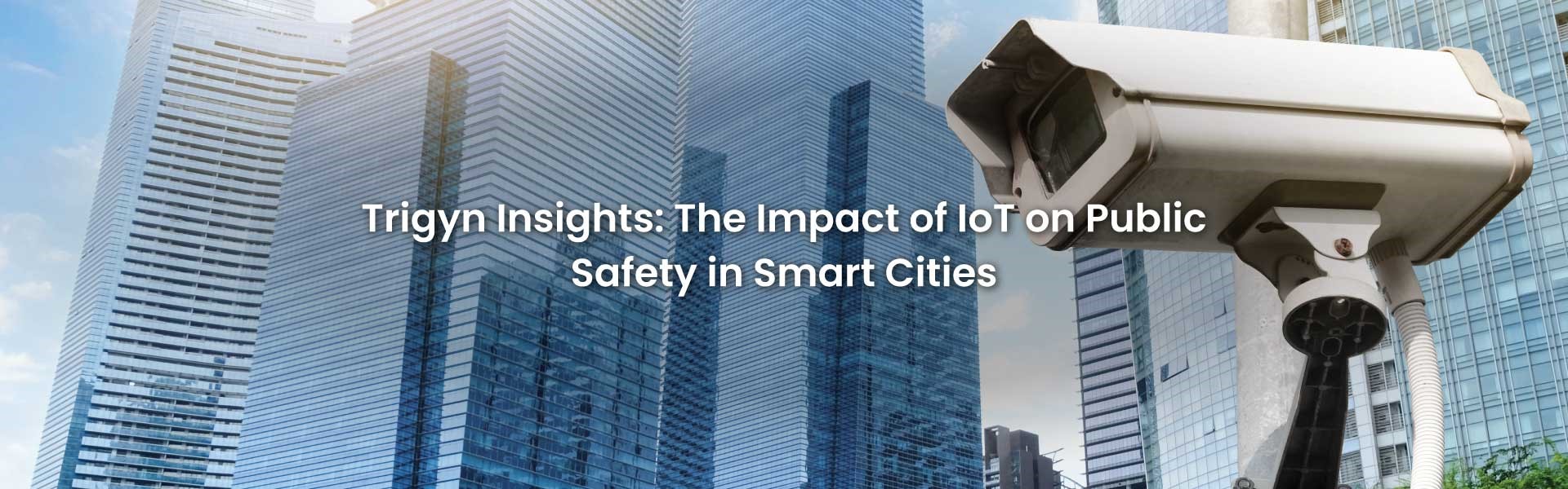 Public Safety in Smart Cities