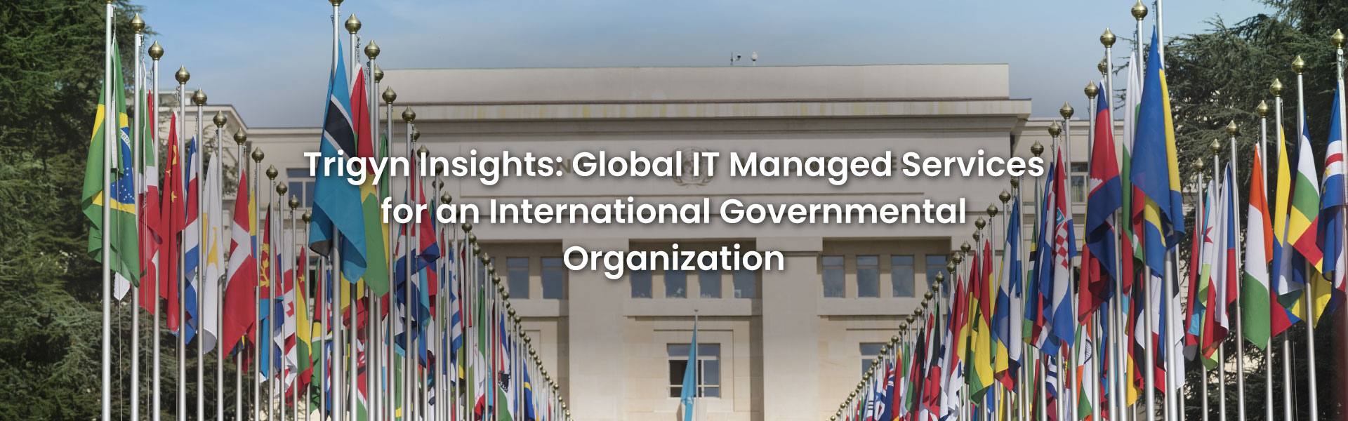 Global IT Managed Services for an International Governmental Organization