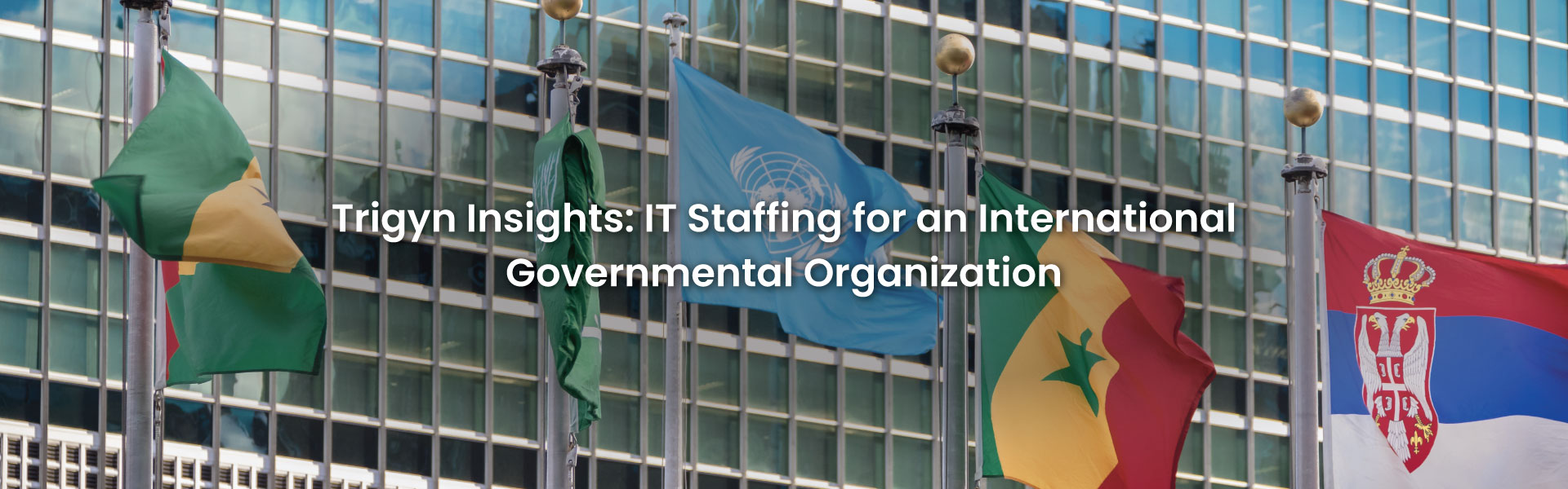 IT Staffing for an International Governmental Organization