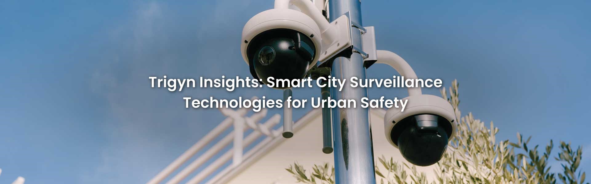 Surveillance Technologies for Urban Safety