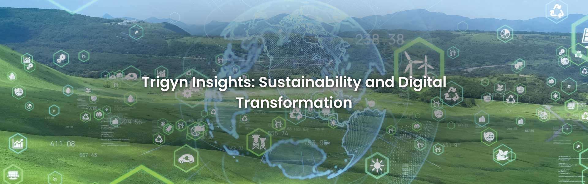 Sustainability and Digital Transformation