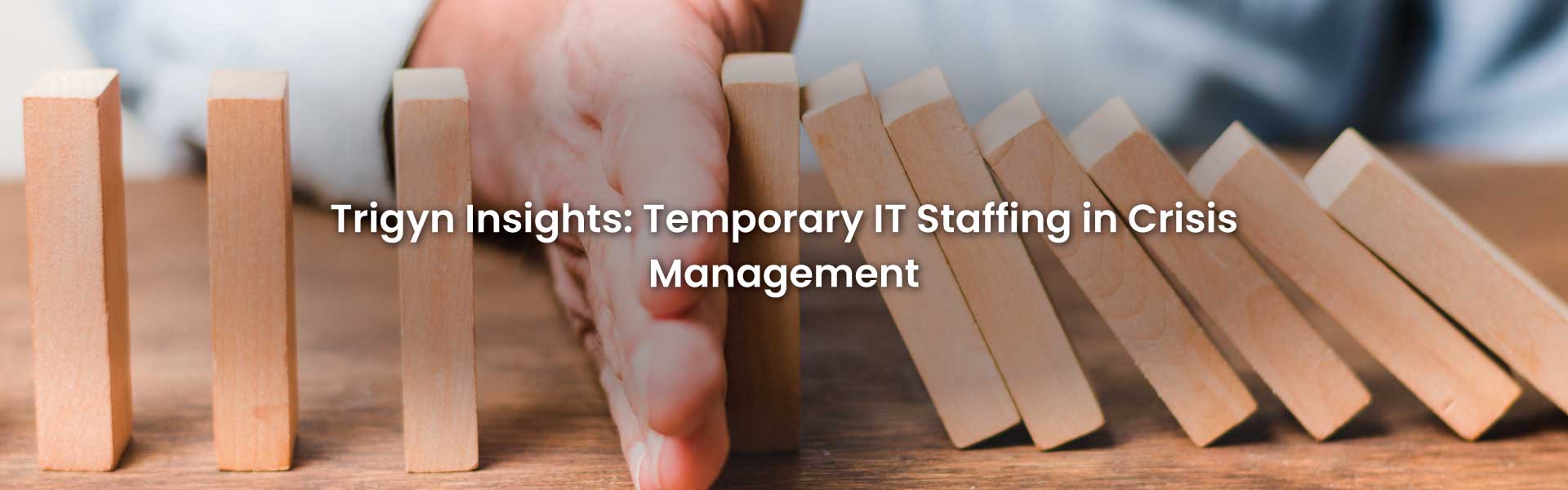  IT Staffing in Crisis Management