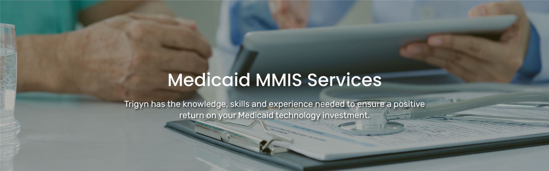 Trigyn's Medicaid MMIS Services
