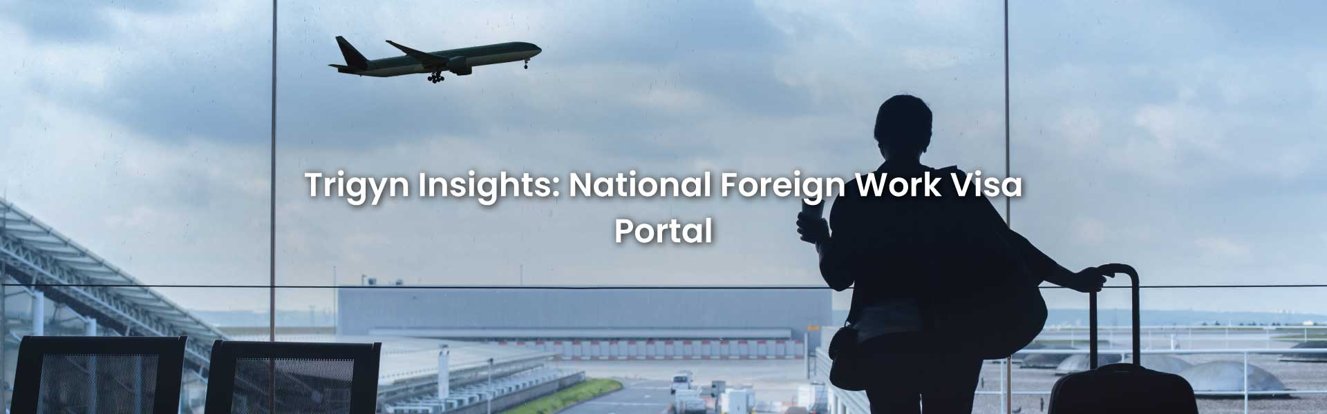 National Foreign Work Visa Portal