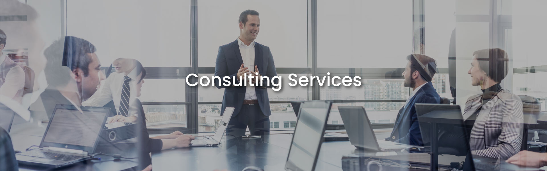 IT Consulting Services