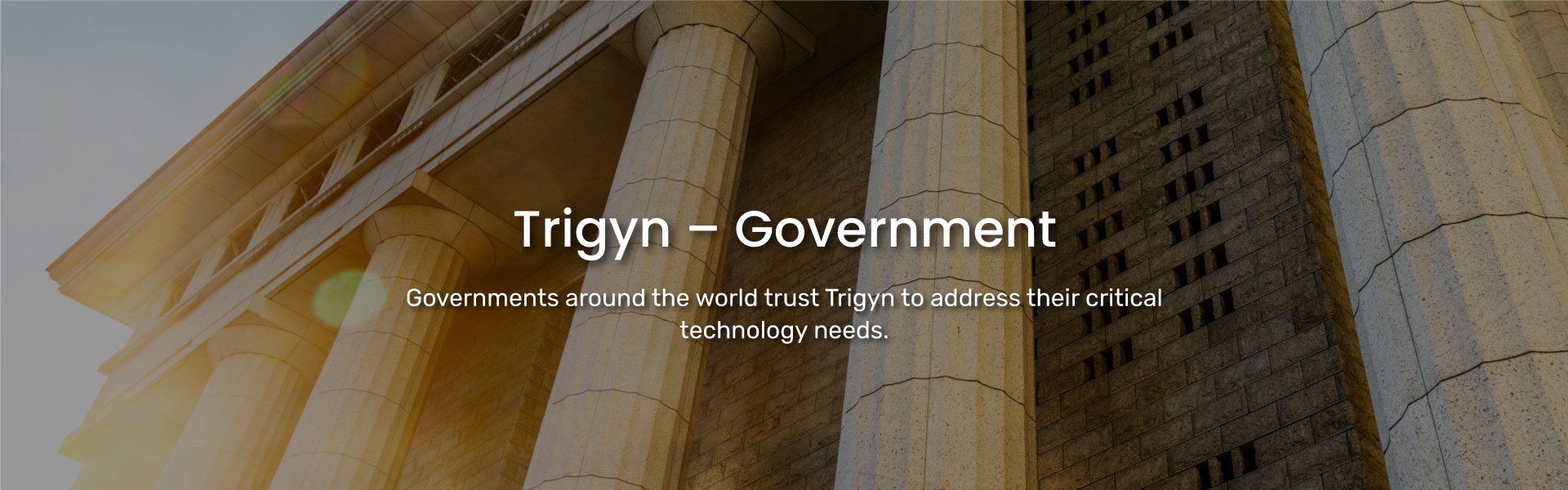 Trigyn’s Government Capabilities