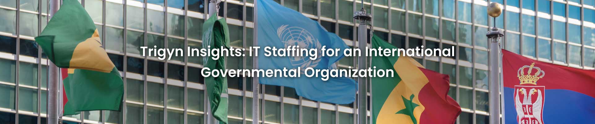 IT Staffing for an International Governmental Organization