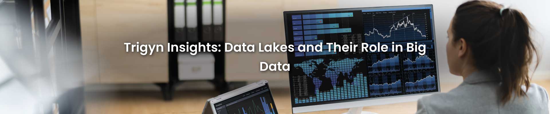 Data Lakes and Their Role in Big Data