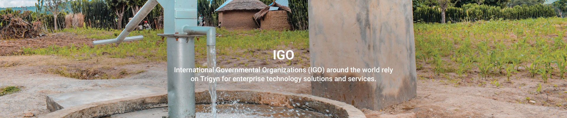 International Governmental Organizations