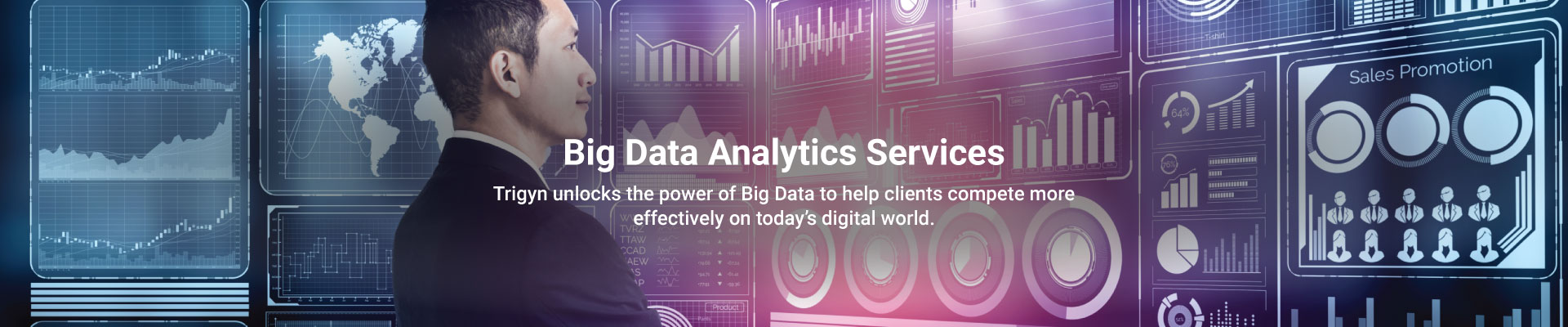 Trigyn's Big Data Analytics Services