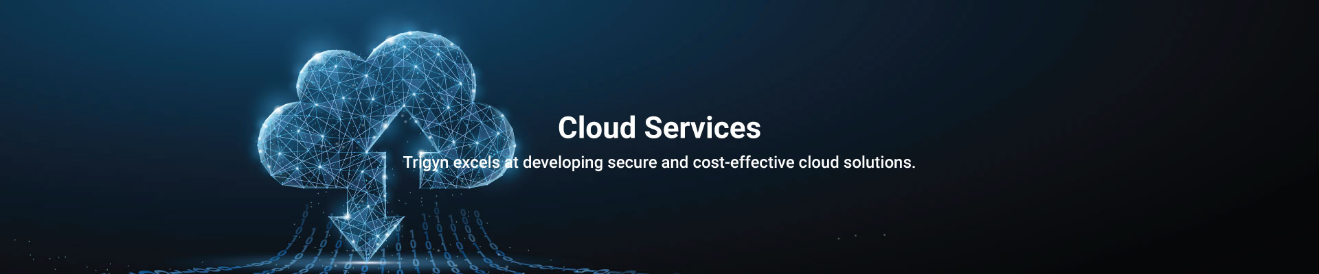 Trigyn’s Cloud Services Capabilities