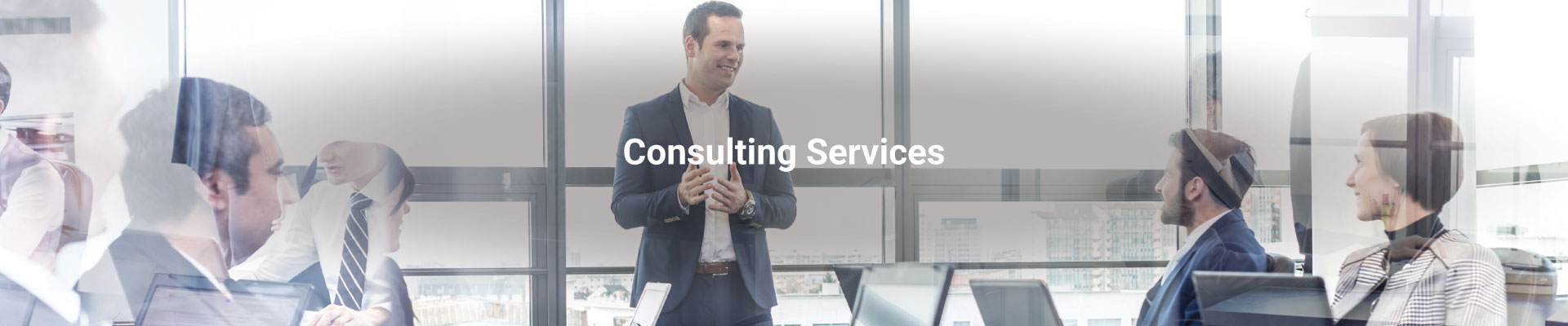 Trigyn’s IT Consulting Services