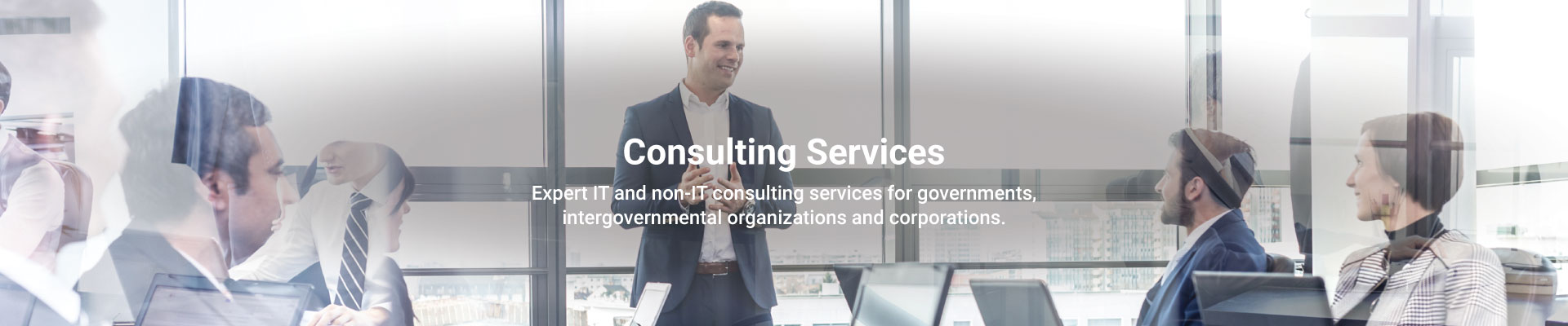 Trigyn’s Consulting Services