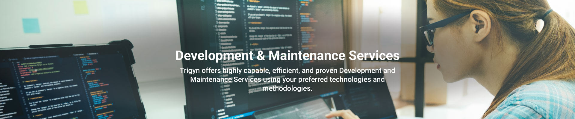 Trigyn's Development & Maintenance Services