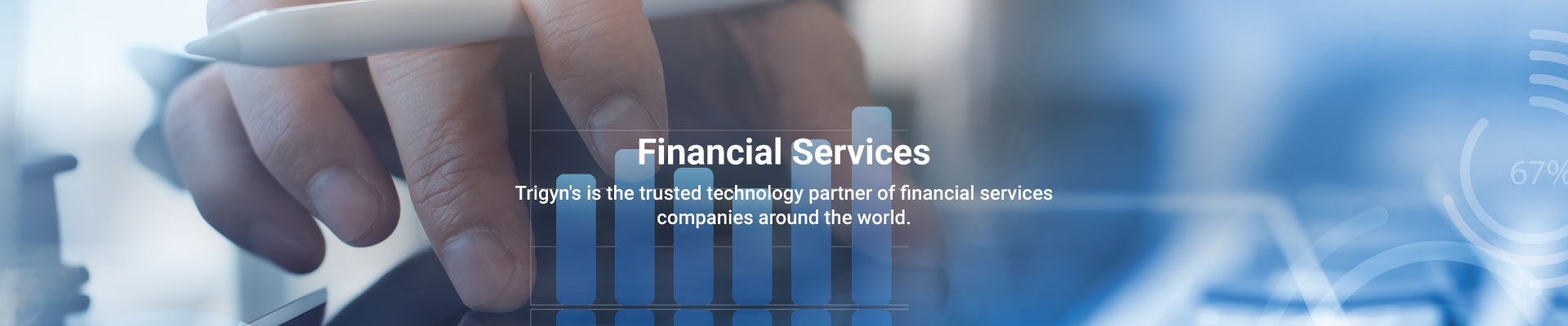 Trigyn’s Financial Services Capabilities