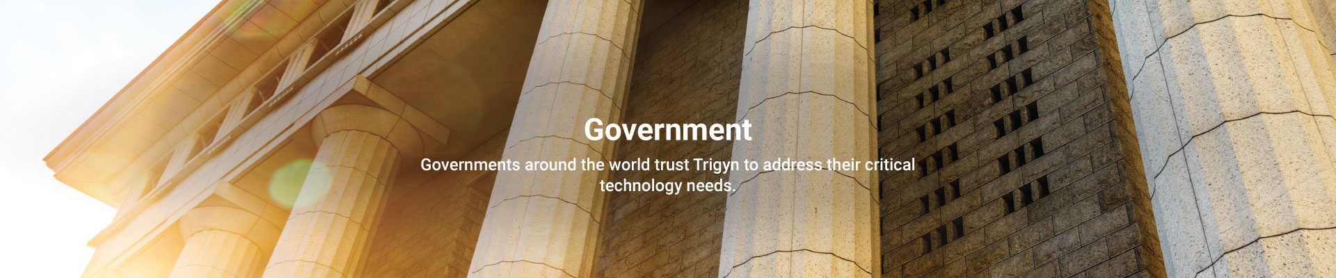 Trigyn’s Government Capabilities