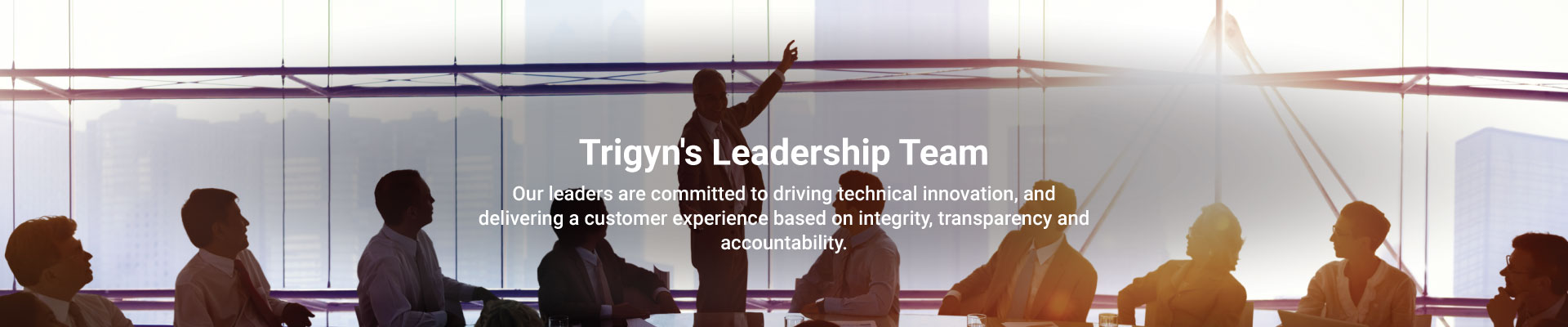 Trigyn's Leadership Team