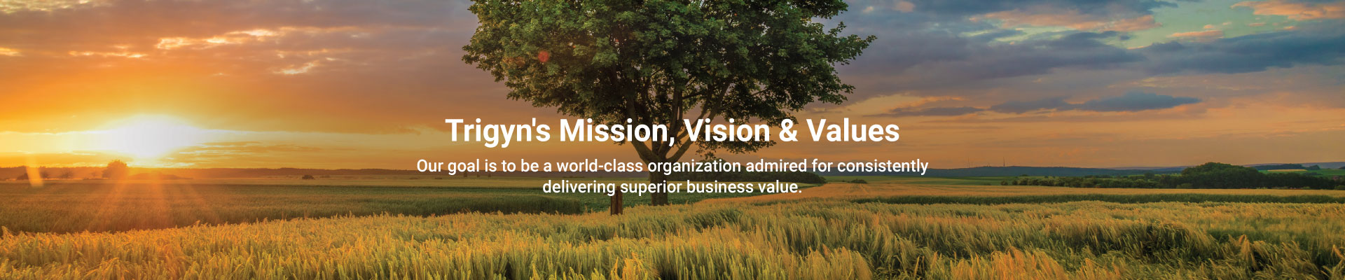 Trigyn’s Mission, Vision and Core Values