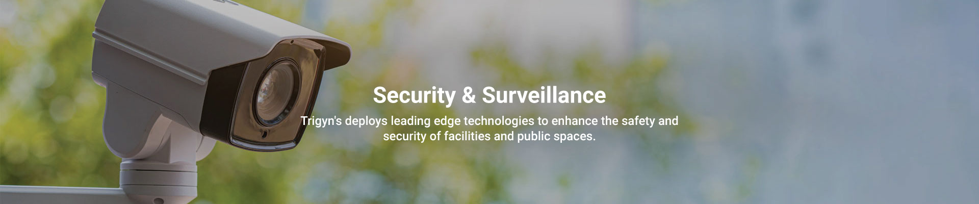 Trigyn’s Security & Surveillance Capabilities