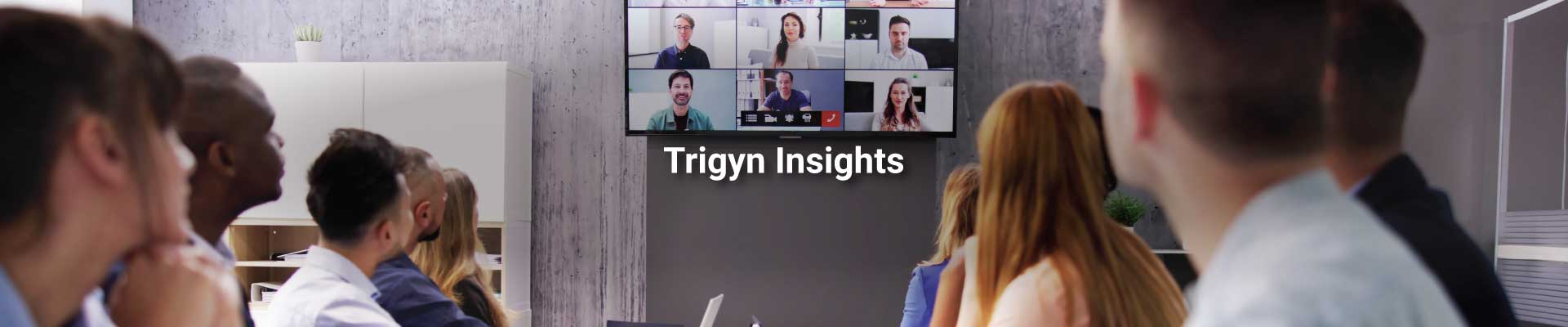 Rescuing Distressed IT Projects with Trigyn Technologies