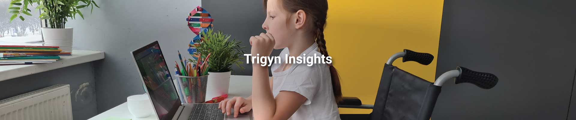 Case Study: Case Management System for Schools Supporting Inclusive Education