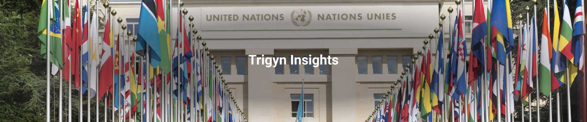 Global IT Managed Services for an International Governmental Organization