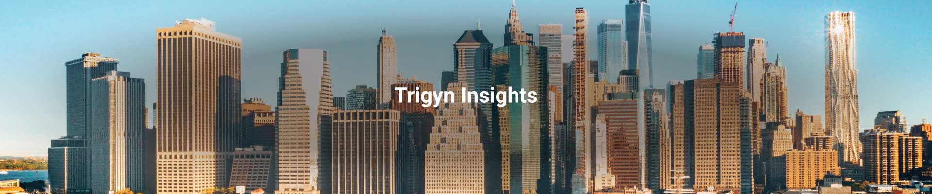 IT Flexibility for a Major North American City