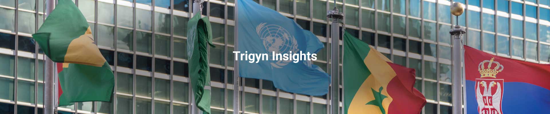 IT Staffing for an International Governmental Organization