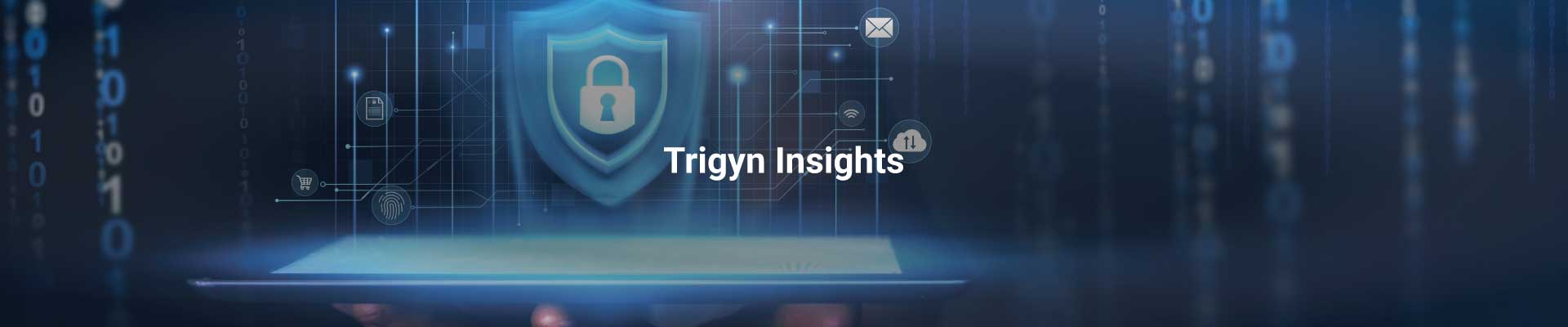 Data Security as a Service