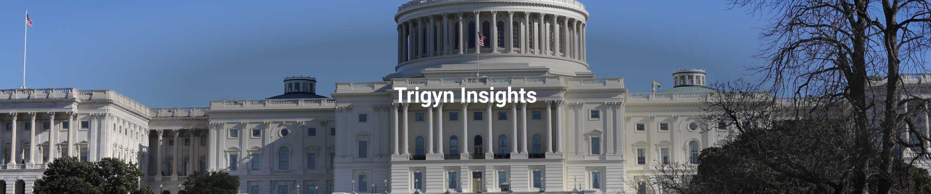 Technology Trends in Government Computing