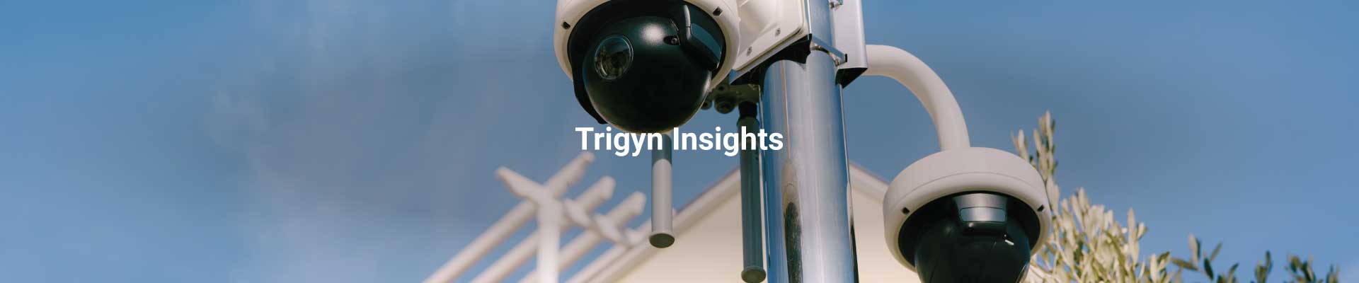 Surveillance Technologies for Urban Safety