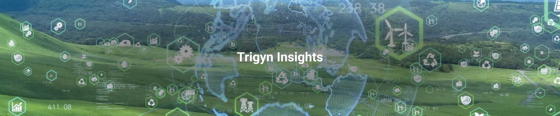 Sustainability and Digital Transformation
