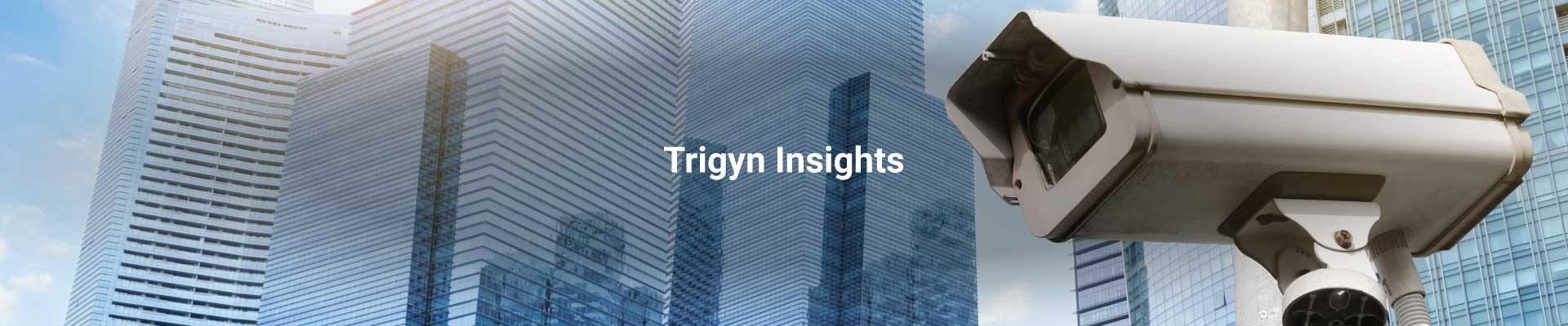 Public Safety in Smart Cities
