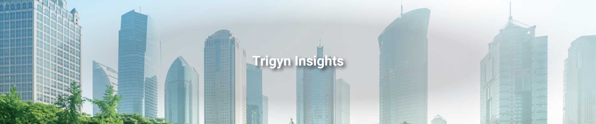  Role of IT Consulting in Smart City