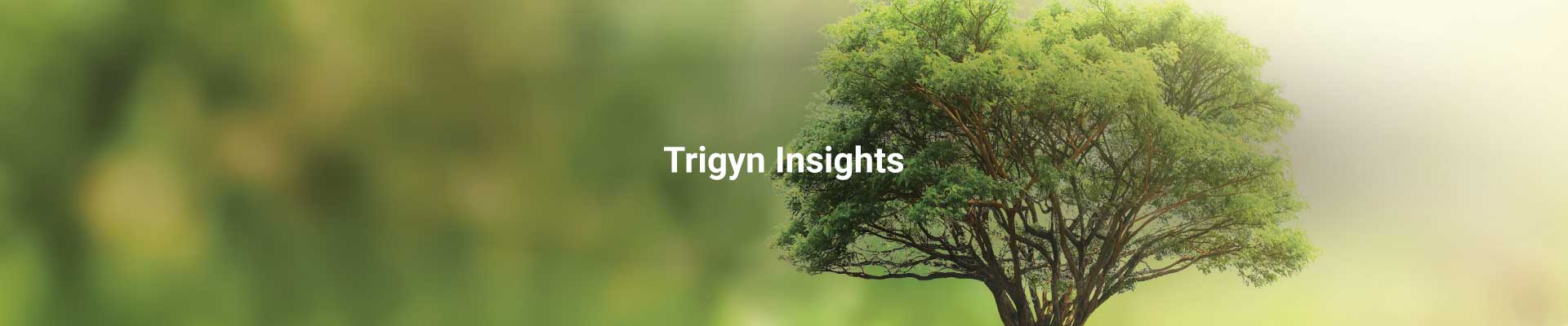 What is ISO 14001:2015