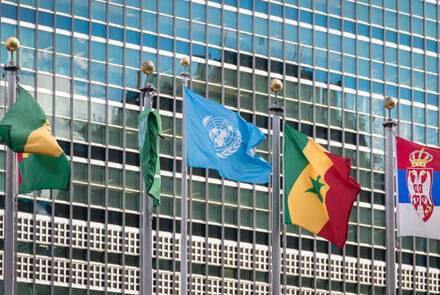 Case Study: IT Staffing for an International Governmental Organization