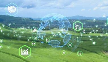 Sustainability and Digital Transformation Encouraging Sustainable Practices